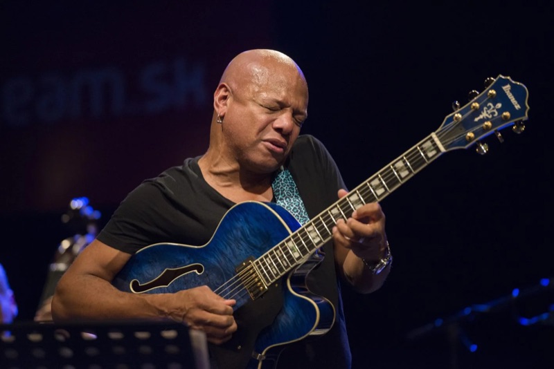 Koncert organizovaný agentúrou Artteam, gitarista na pódiu